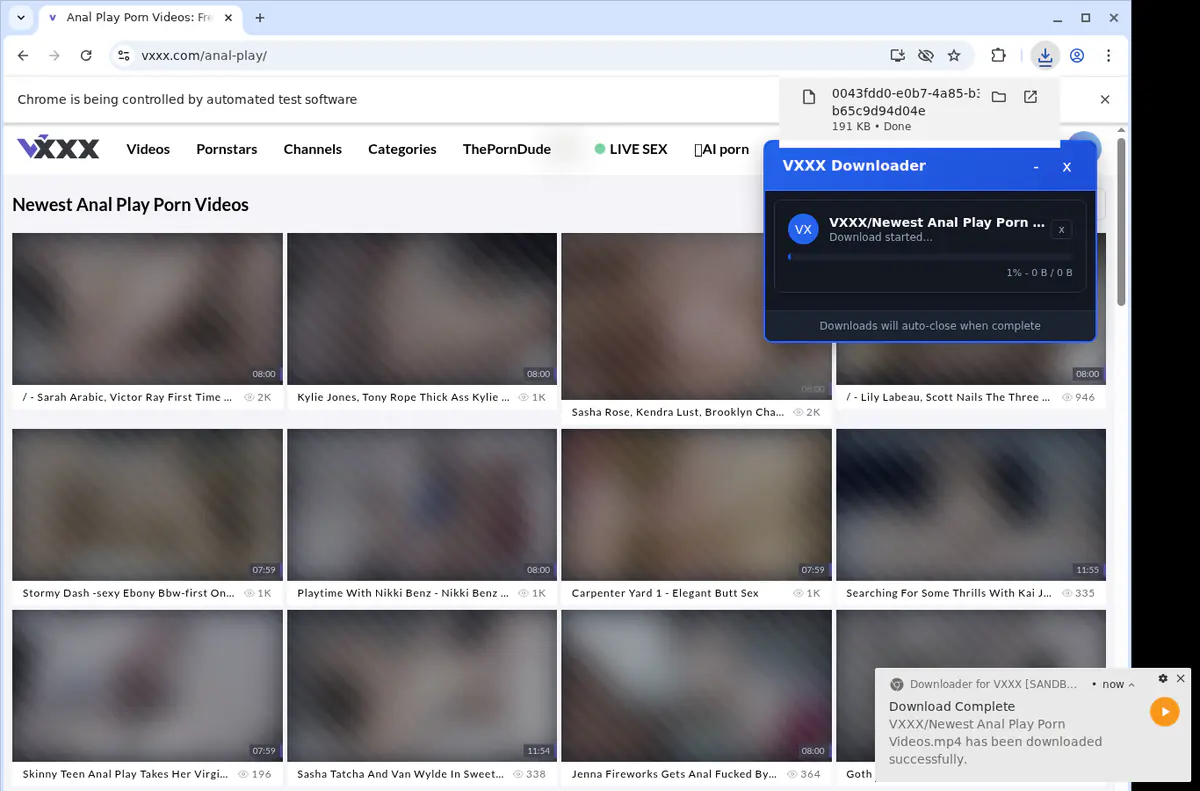 Vxxx Video Downloader screenshot 2